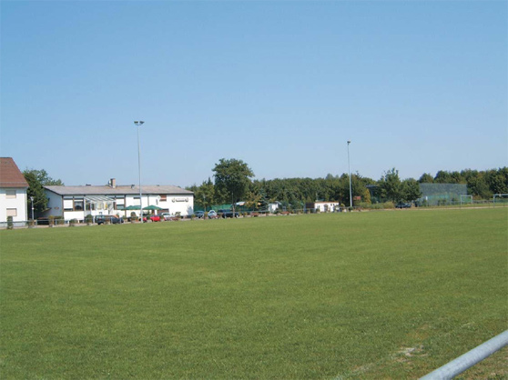 Eine grüne Wiese mit üppigem Gras, das sanft im Wind weht, unter einem klaren blauen Himmel.